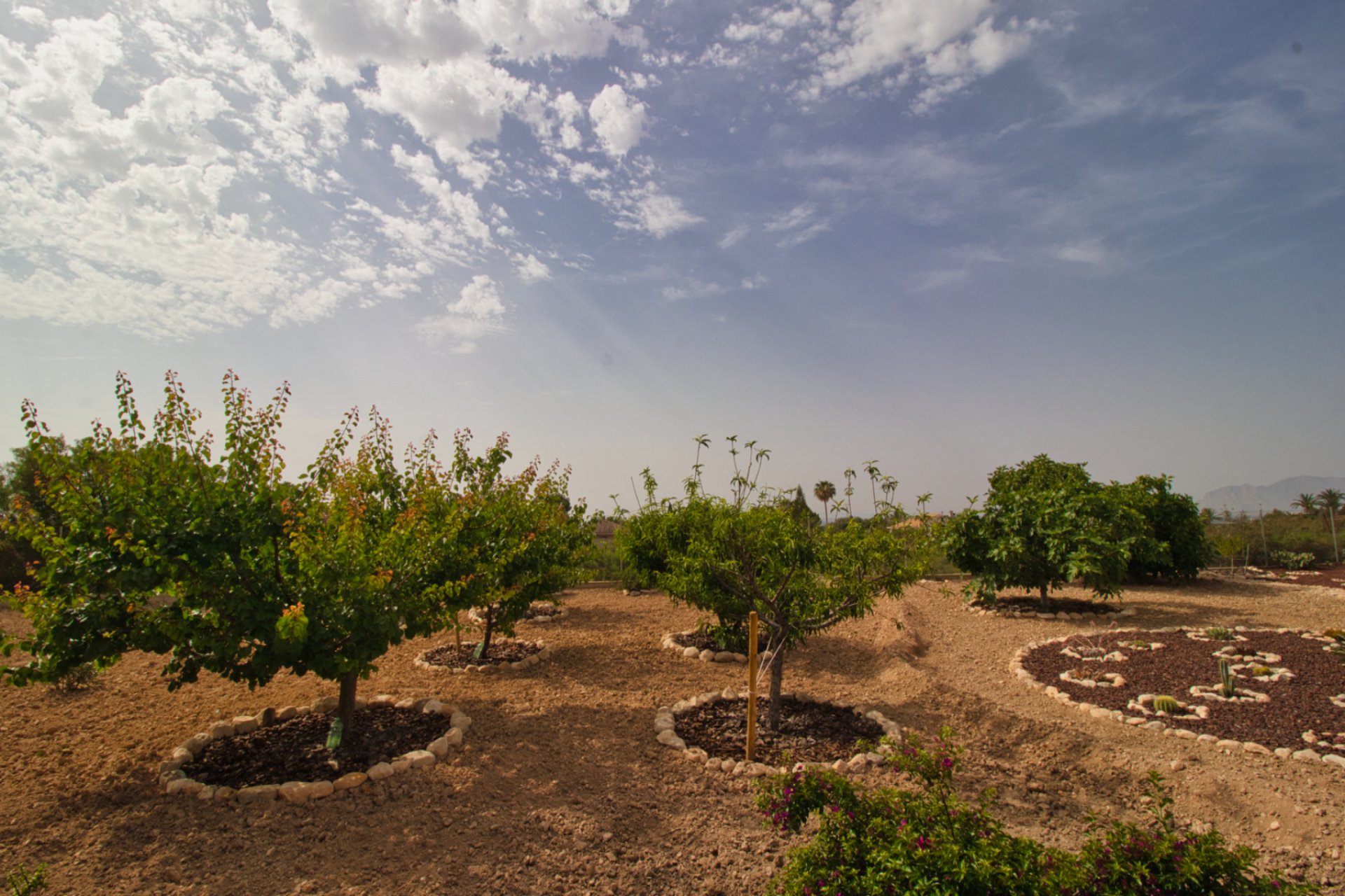 Herverkoop - Plattelandswoning -
Crevillent
