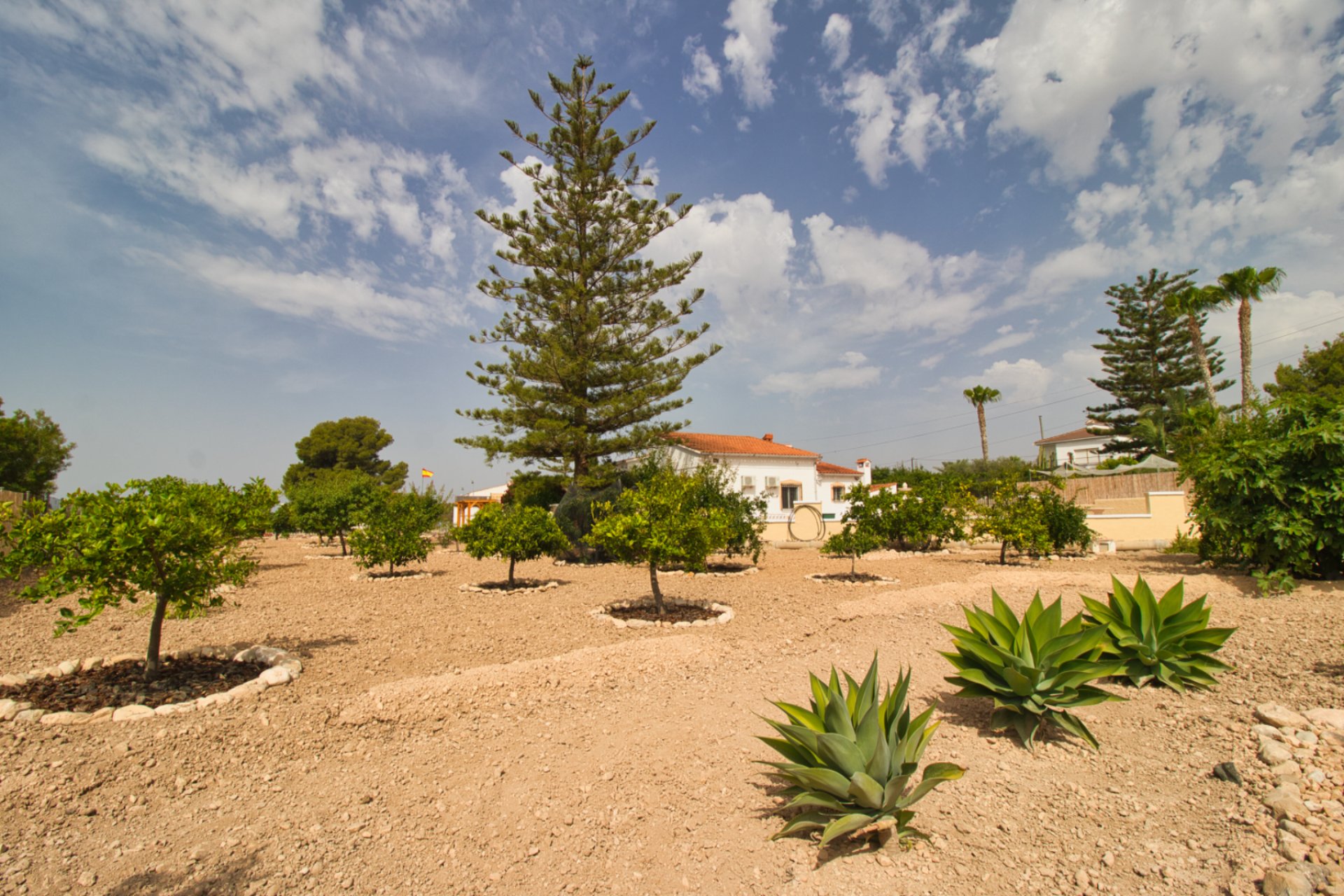 Herverkoop - Plattelandswoning -
Crevillent