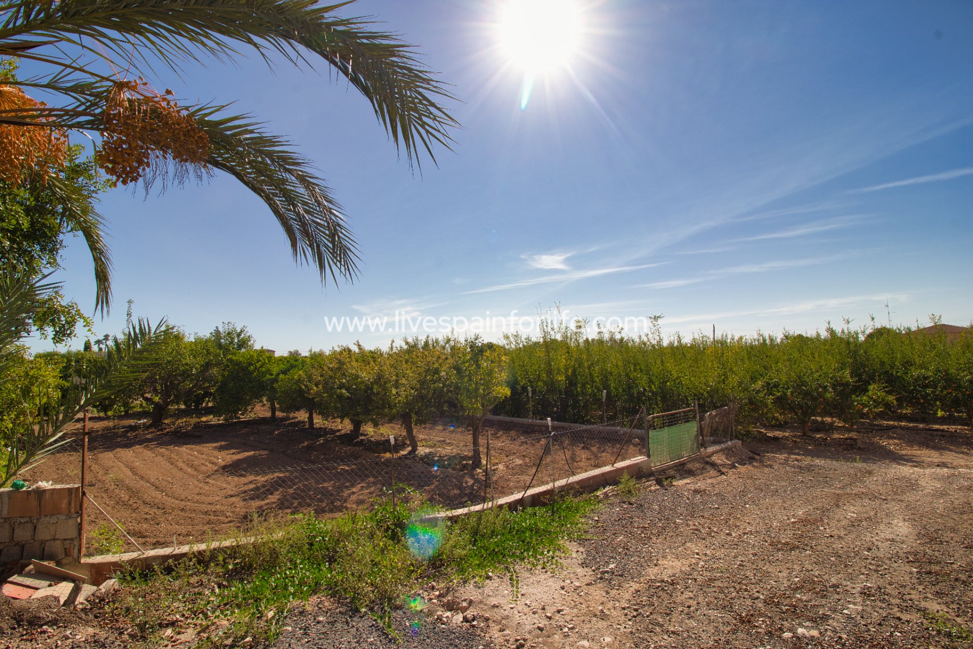 Herverkoop - Plattelandswoning -
Crevillent