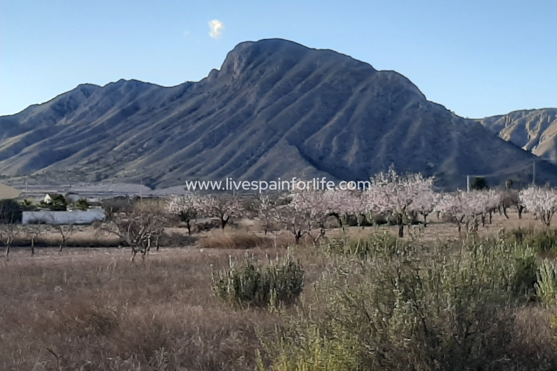 Herverkoop - Plattelandswoning -
Hondon De Las Nieves - Hondon De Los Frailes
