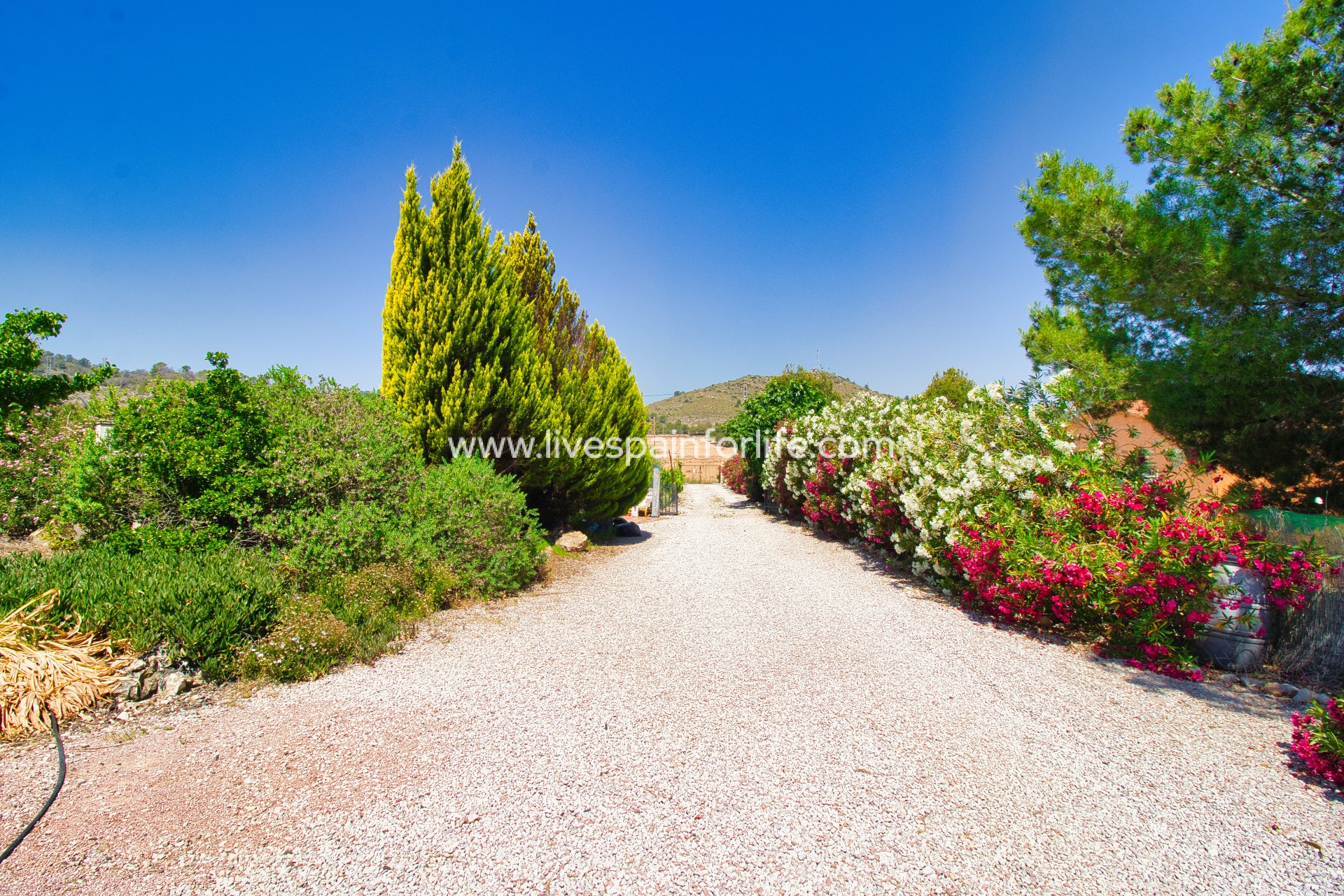 Herverkoop - Plattelandswoning -
Hondon De Las Nieves