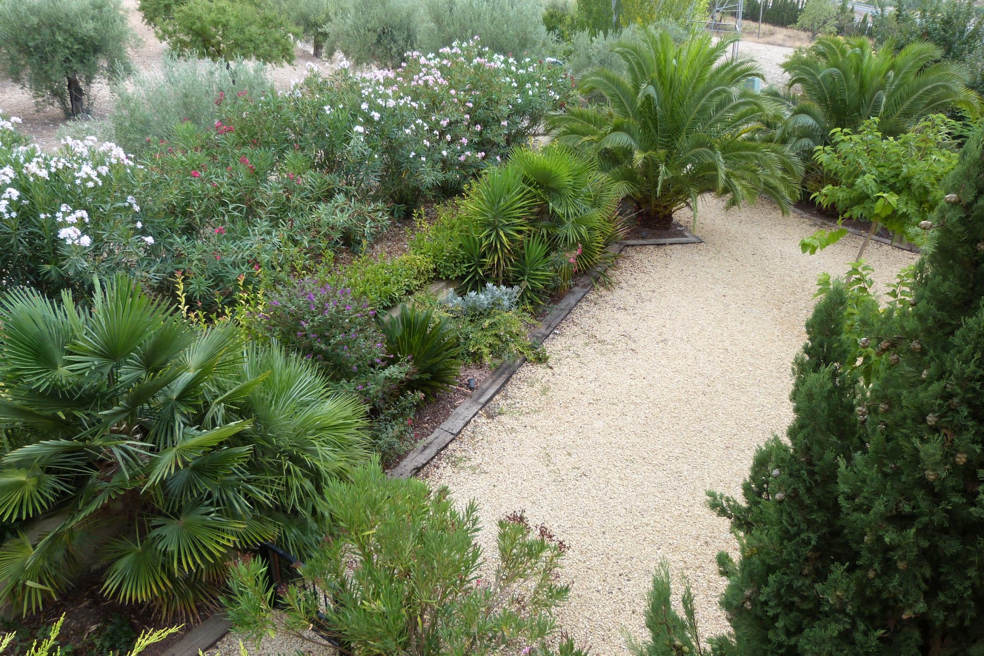 Herverkoop - Plattelandswoning -
Ibi - Ibi - Country