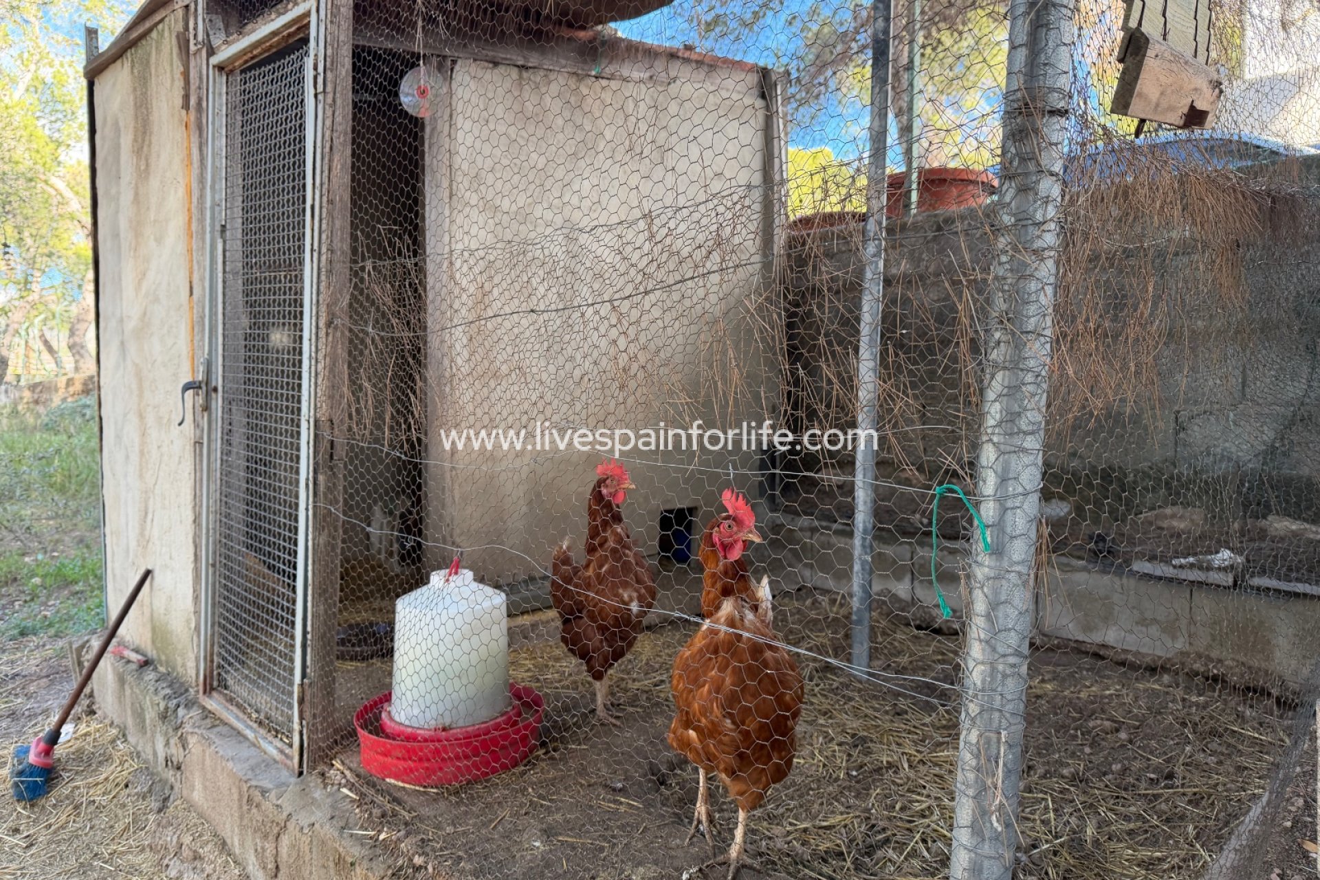 Herverkoop - Plattelandswoning -
La Romana