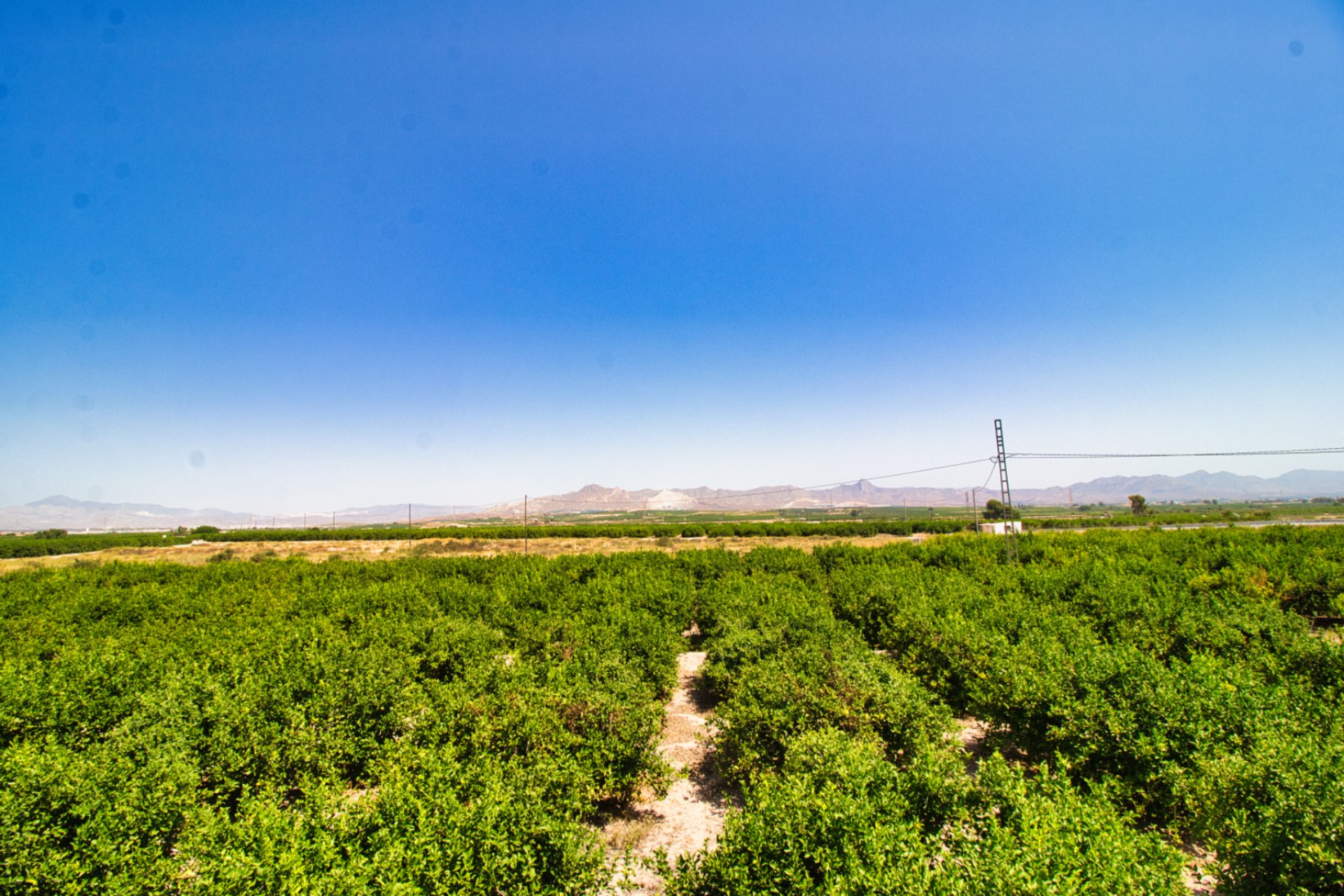Herverkoop - Plattelandswoning -
Orihuela