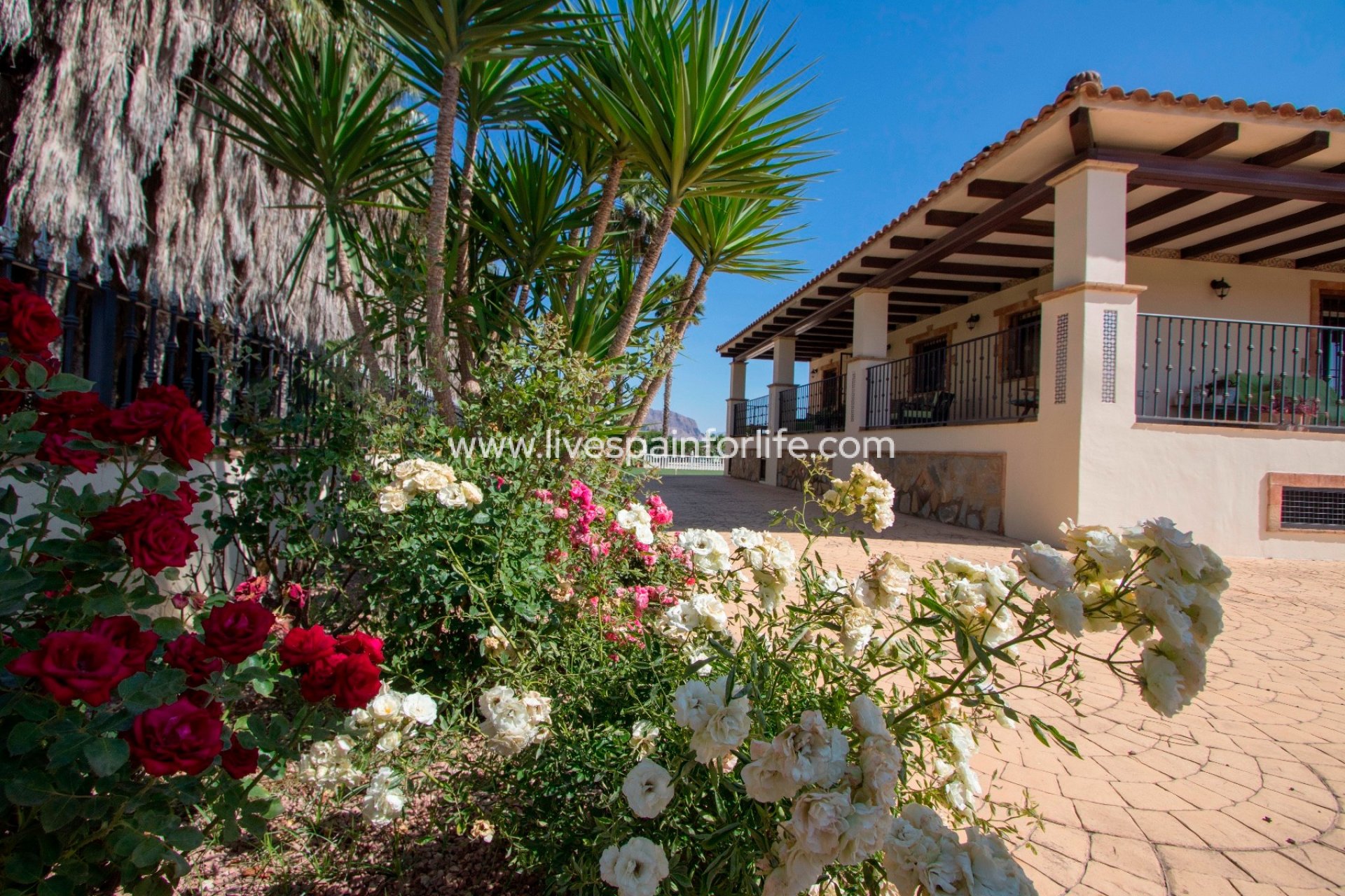 Herverkoop - Plattelandswoning -
Orihuela