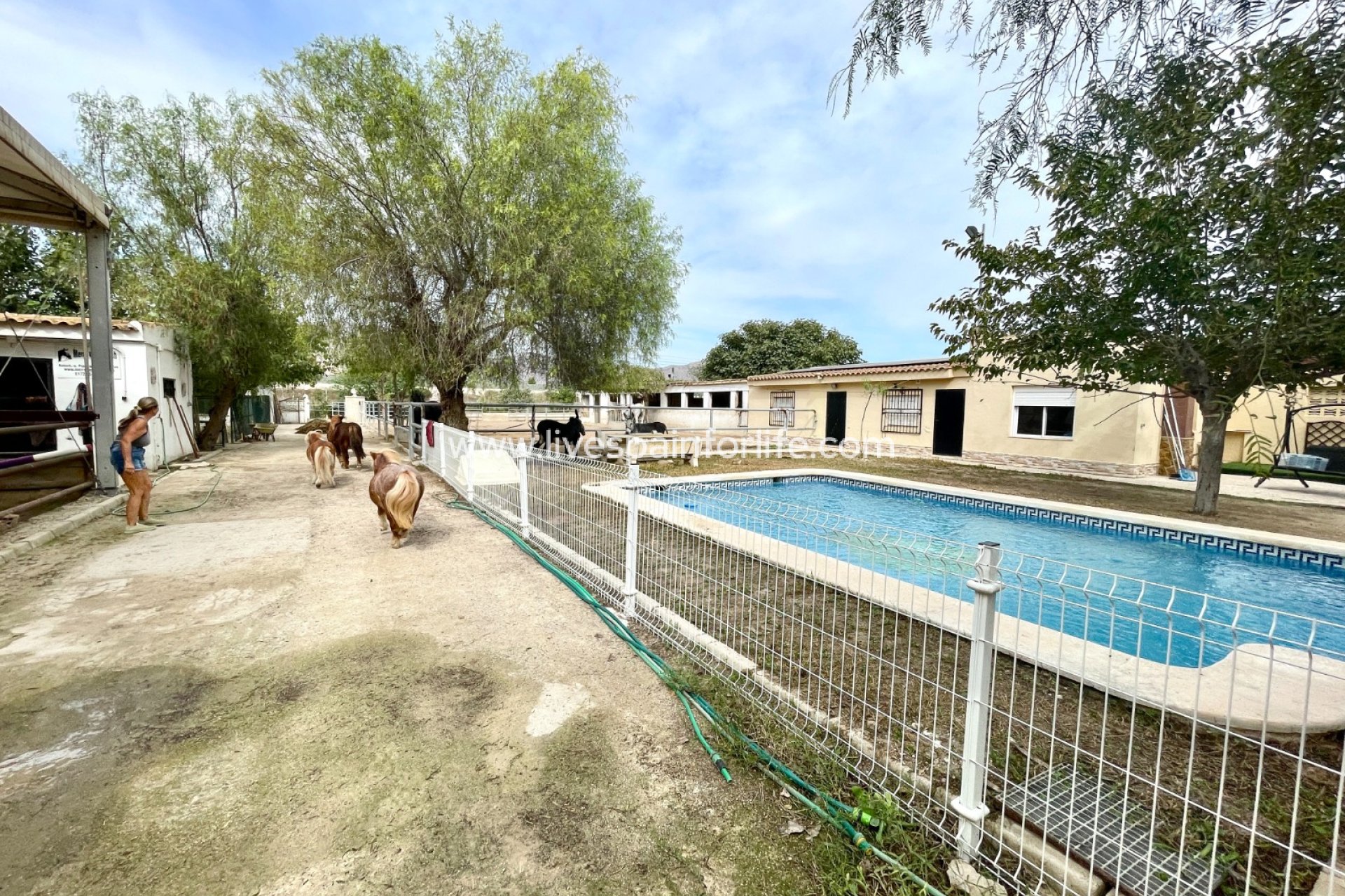 Herverkoop - Plattelandswoning -
Orihuela