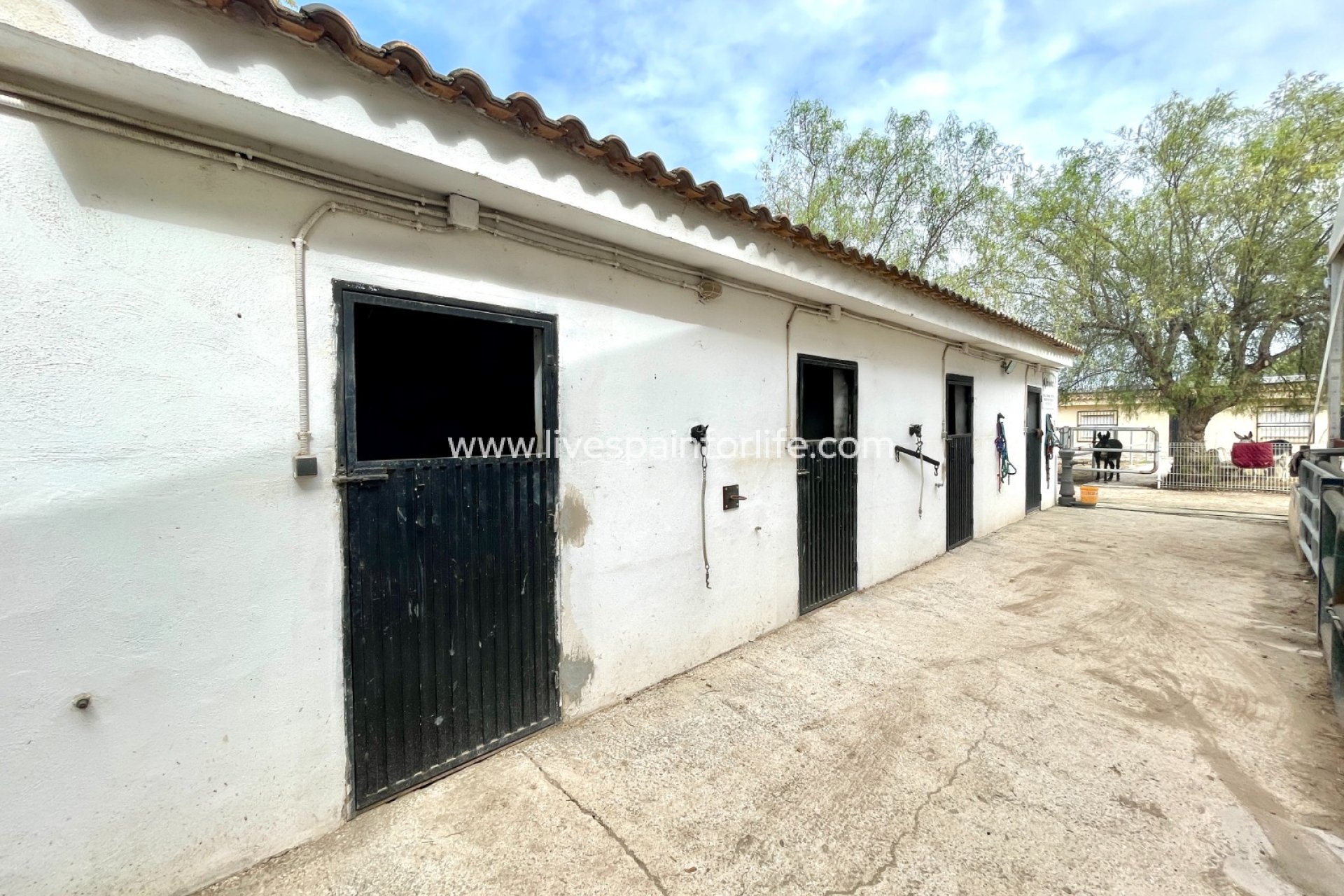 Herverkoop - Plattelandswoning -
Orihuela