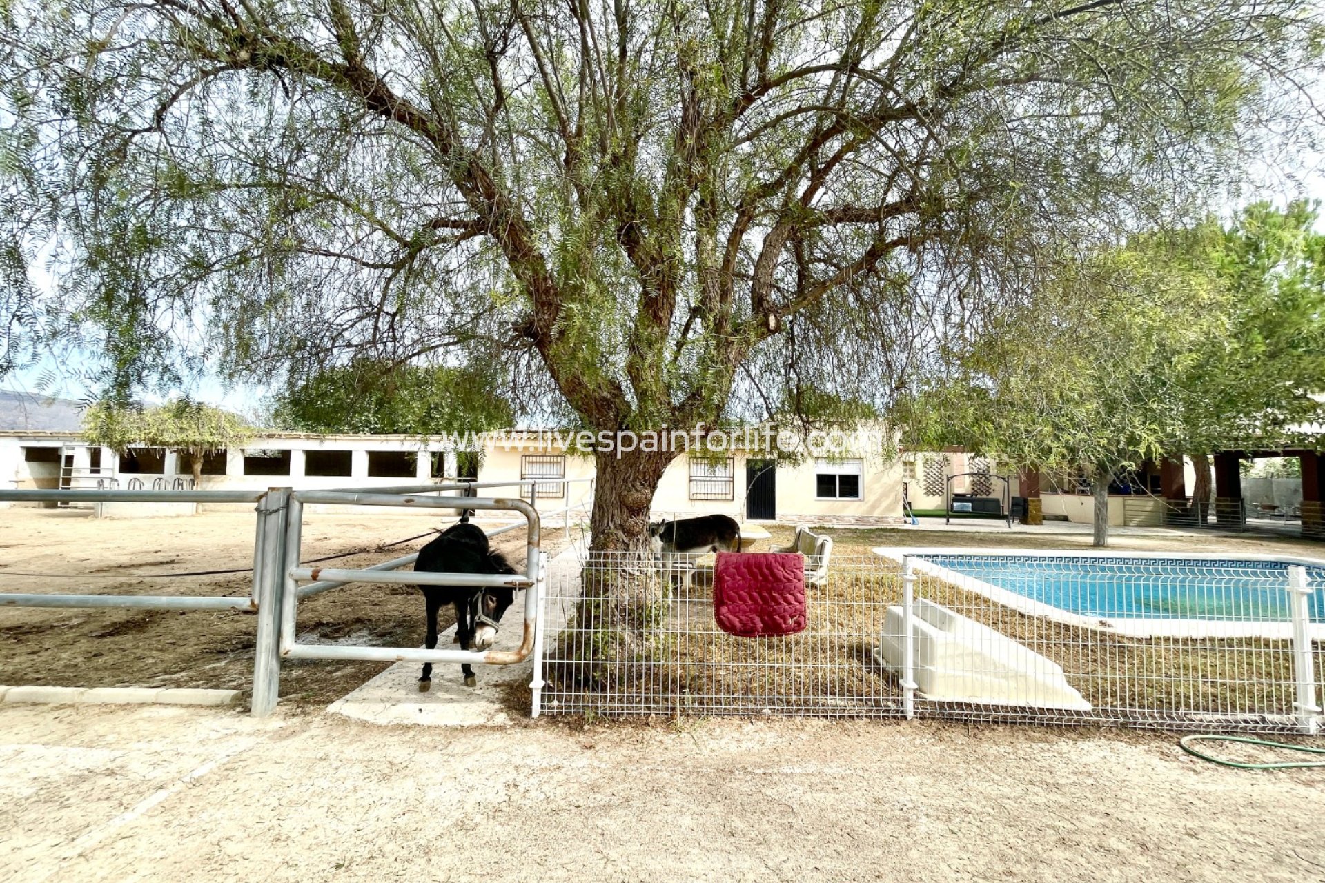 Herverkoop - Plattelandswoning -
Orihuela
