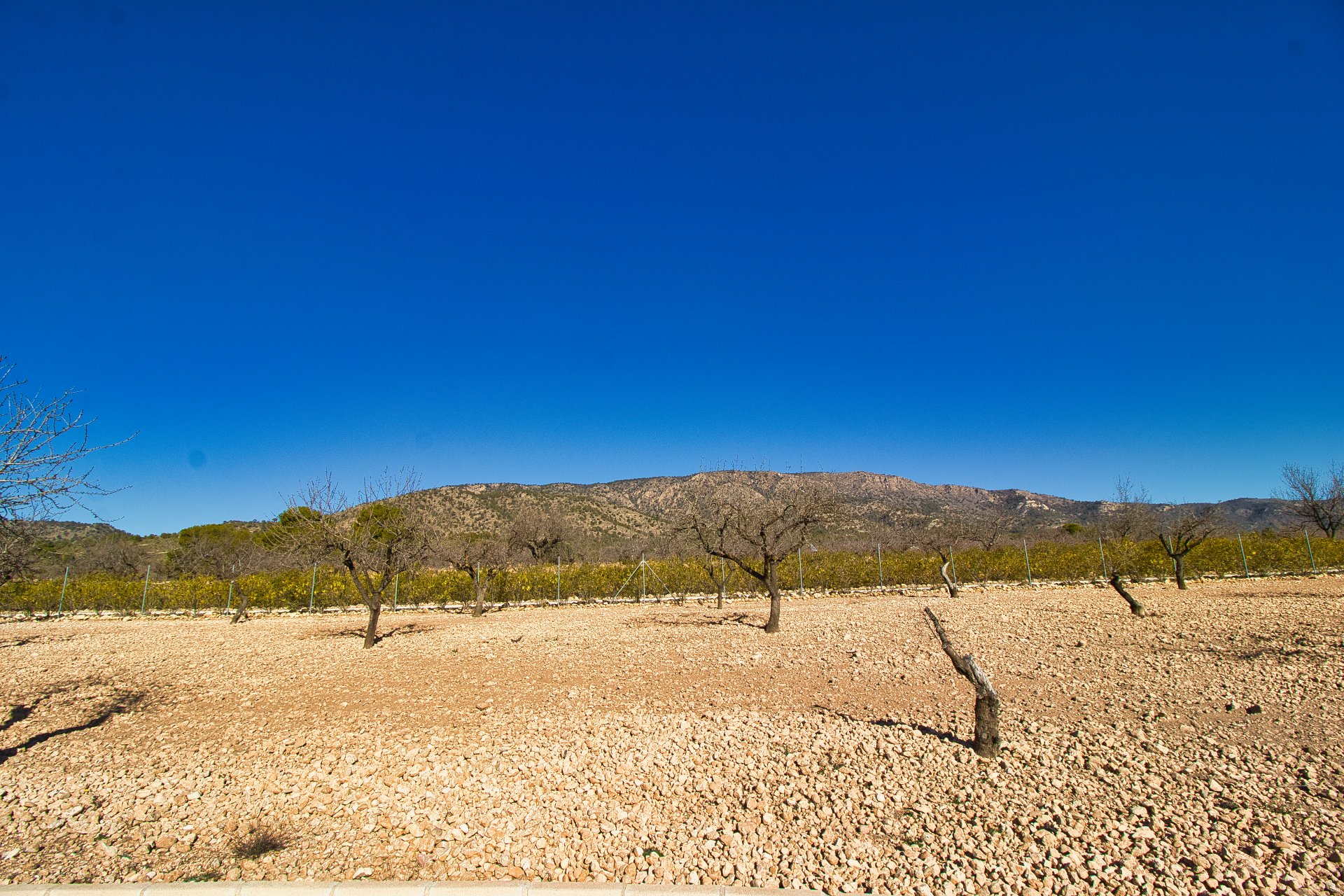 Herverkoop - Plattelandswoning -
Pinoso