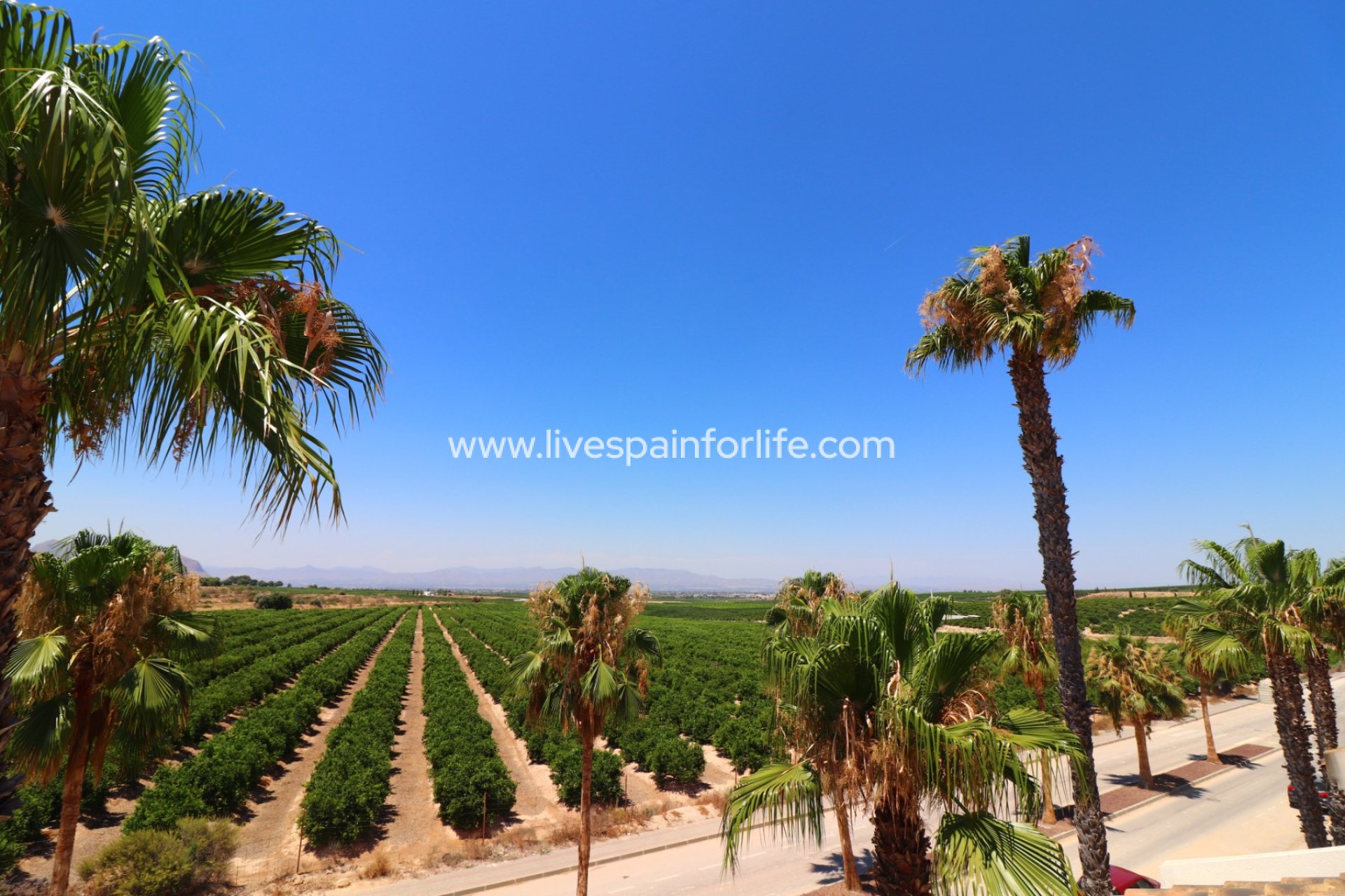 Herverkoop - Semi-detached house / Quad -
Algorfa - La Finca Golf