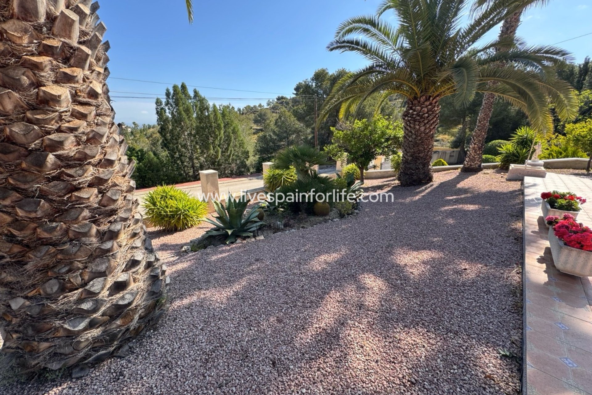 Herverkoop - Villa (alleenstaand) -
Algorfa - Lomas de La Juliana