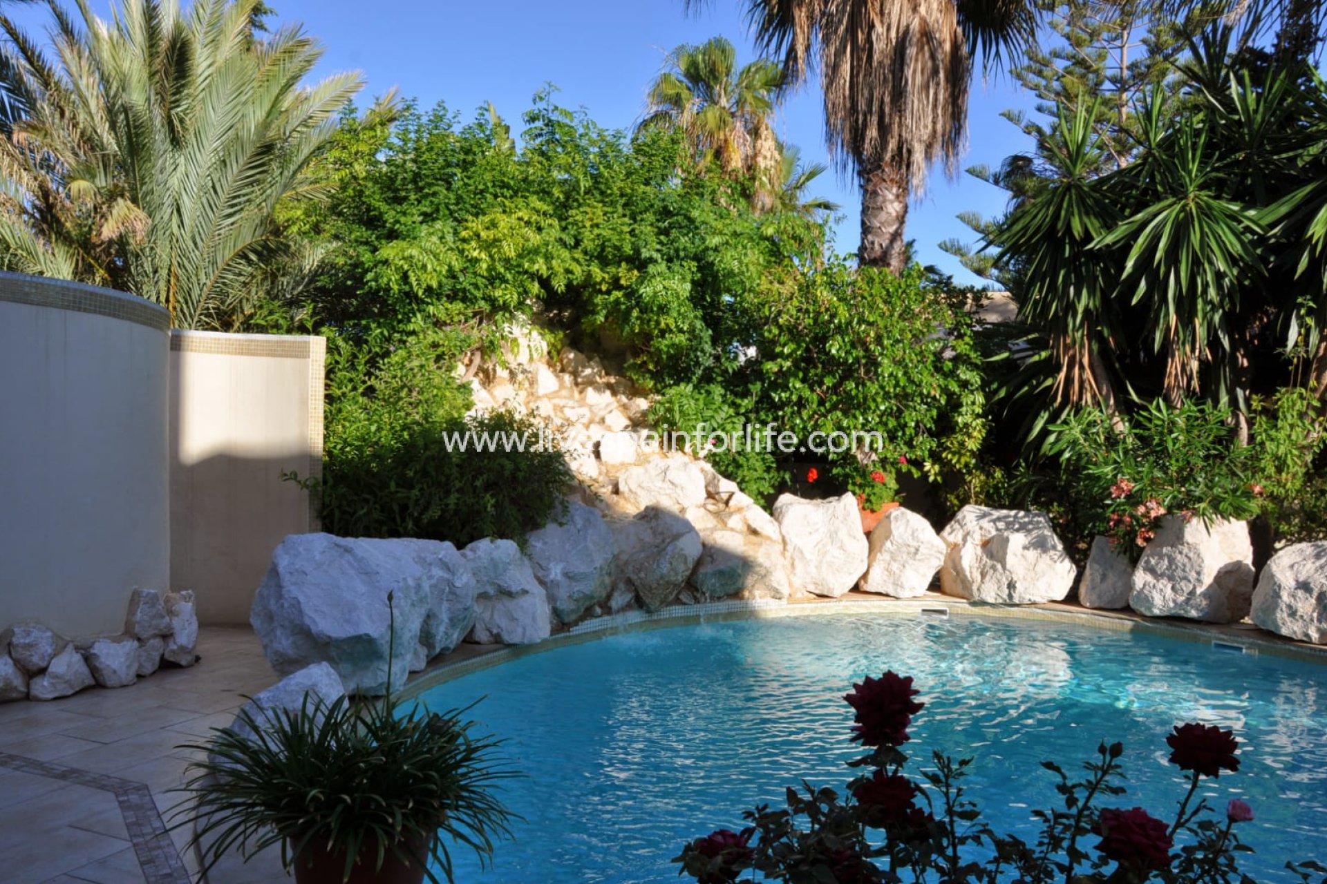 Herverkoop - Villa (alleenstaand) -
Cabo Roig