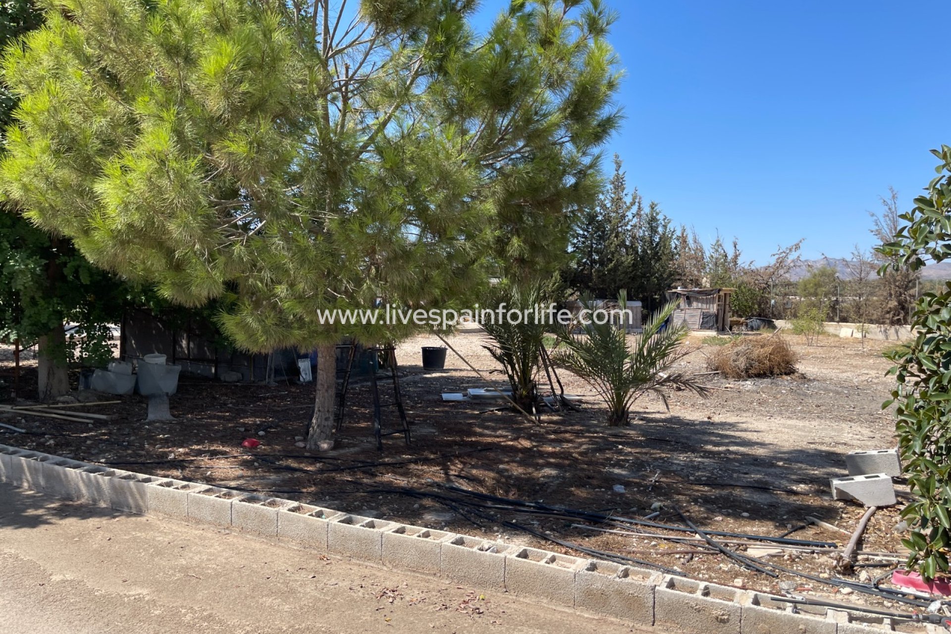 Herverkoop - Villa (alleenstaand) -
Crevillent - Crevillente