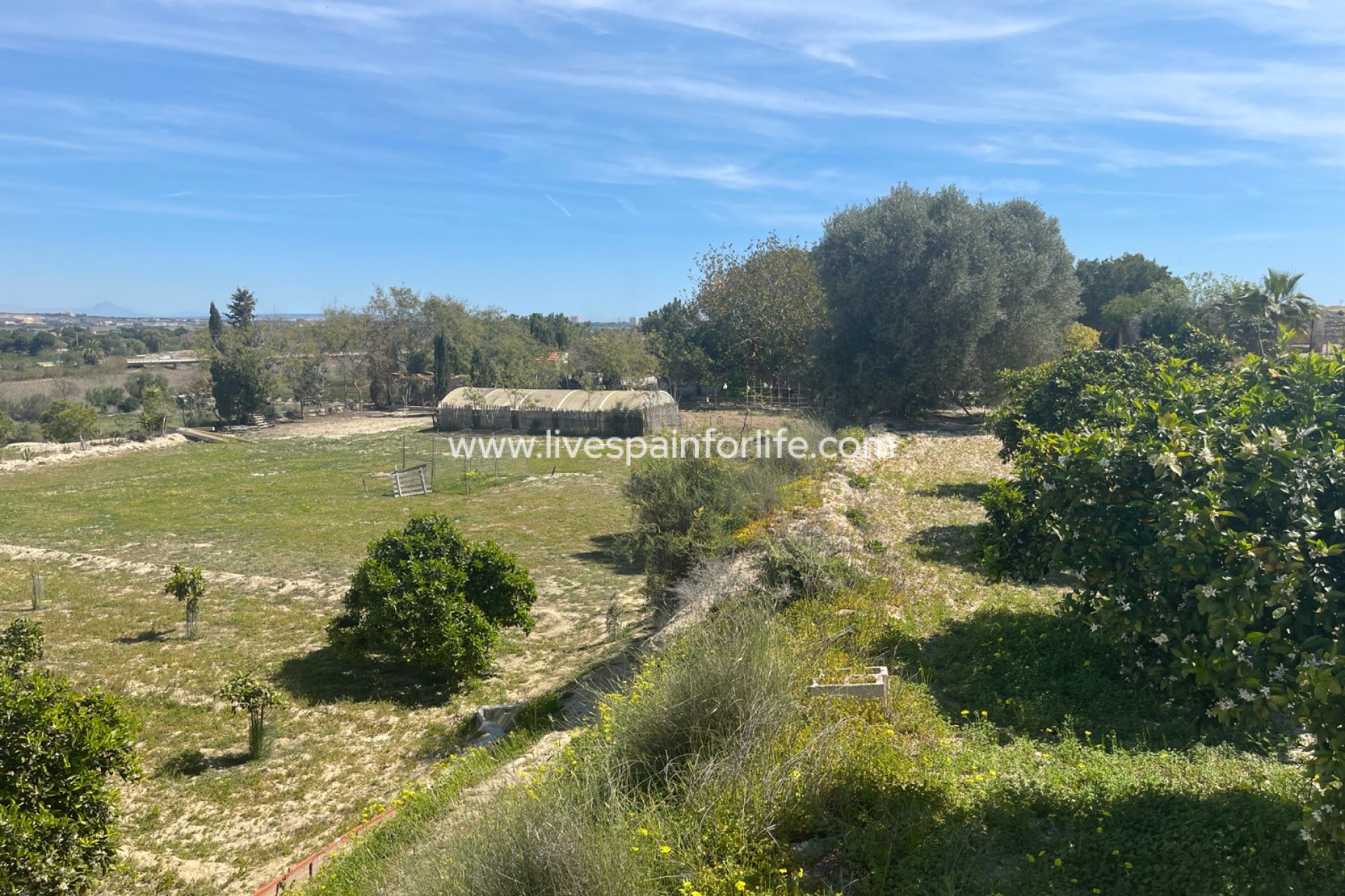 Herverkoop - Villa (alleenstaand) -
Guardamar del Segura - Valencian Community