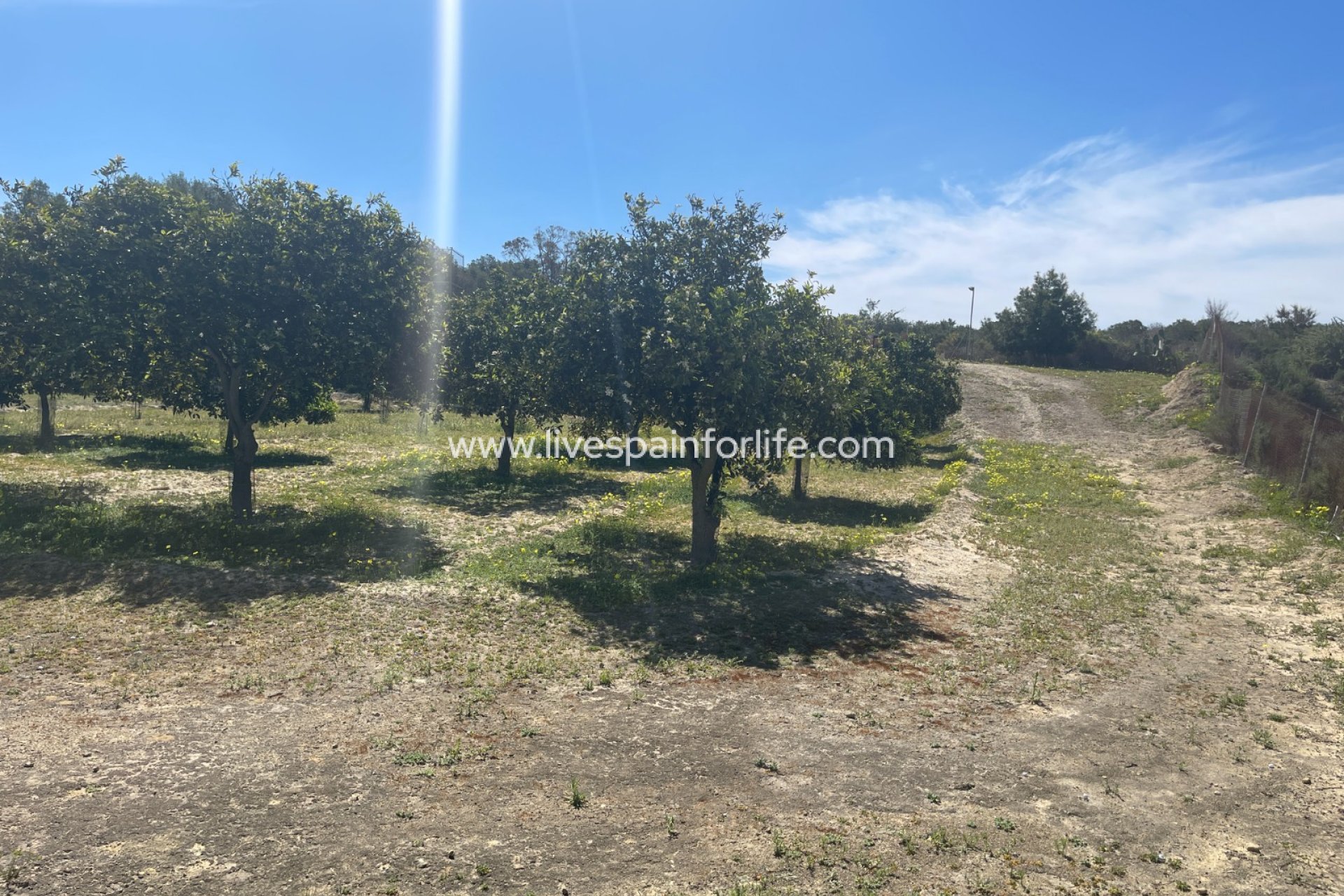 Herverkoop - Villa (alleenstaand) -
Guardamar del Segura - Valencian Community