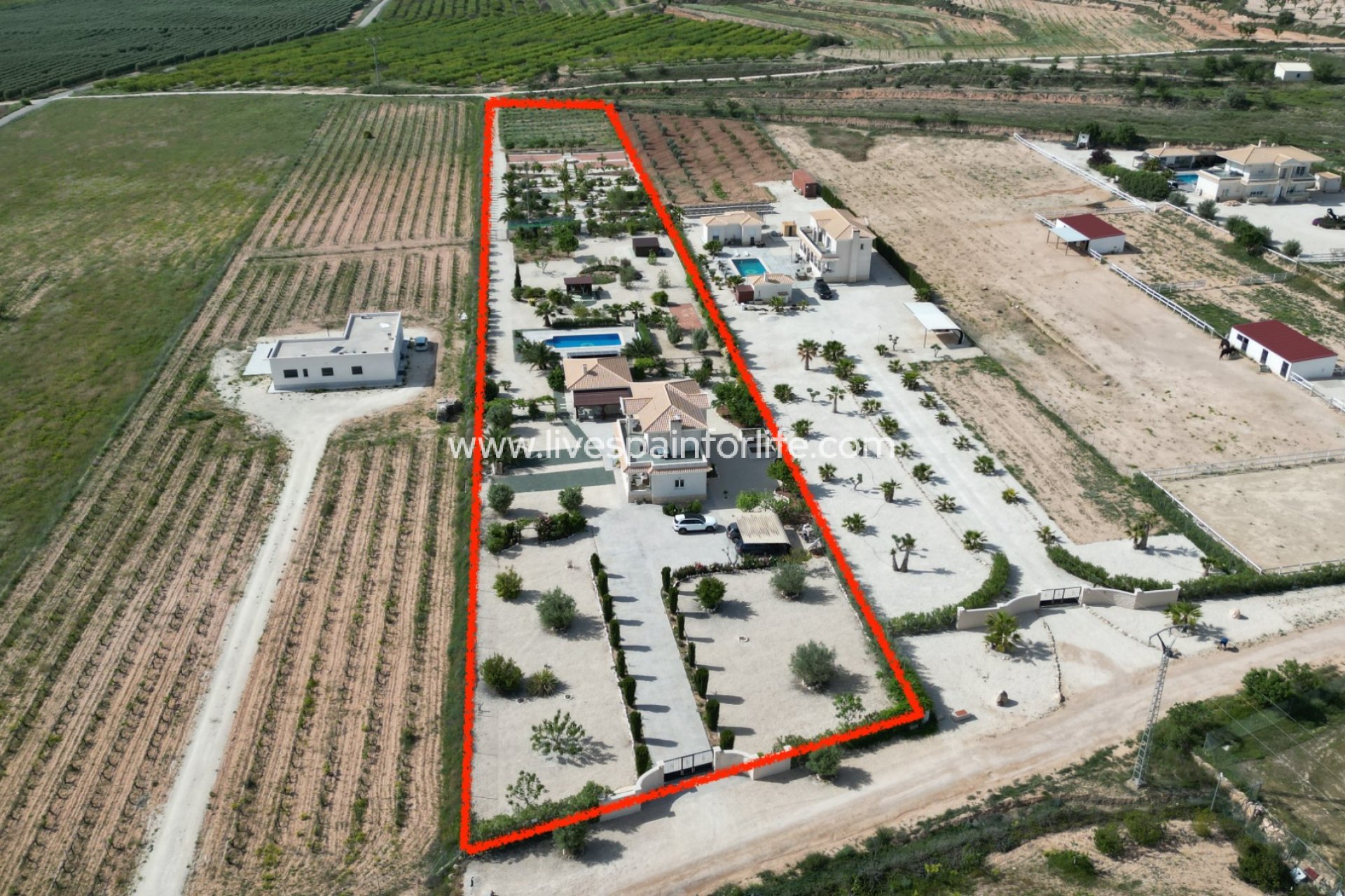 Herverkoop - Villa (alleenstaand) -
Pinoso