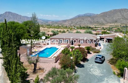  -  - Hondon De Los Frailes -
                    