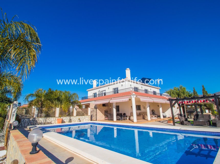 House overlooking the pool