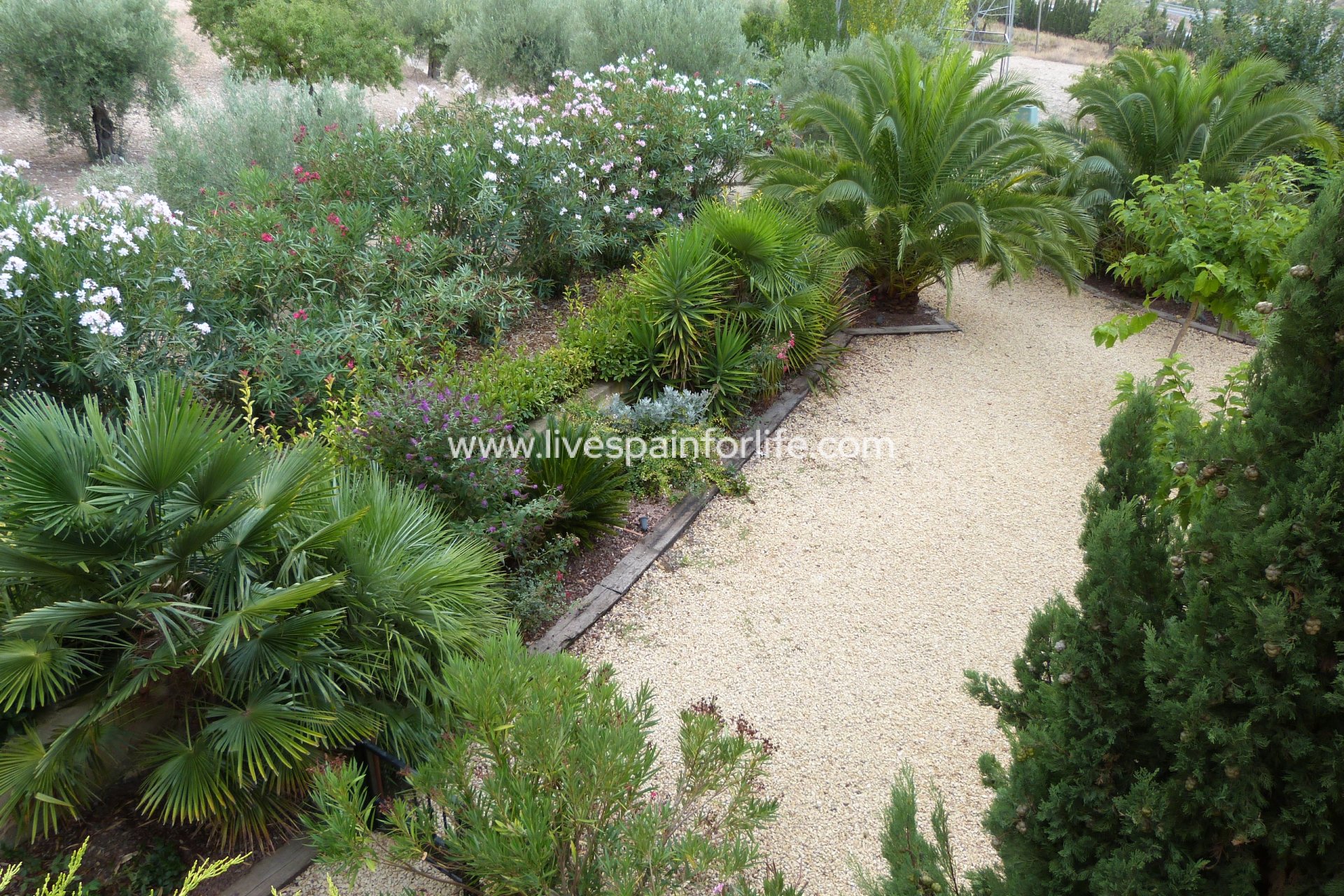  -  -
Ibi - Ibi - Country