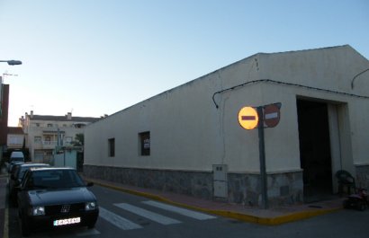 Kommerziell -  - Daya Vieja -
                    Daya Vieja