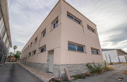 Kommerziell - Weiterverkauf - Elche -
                    Elche