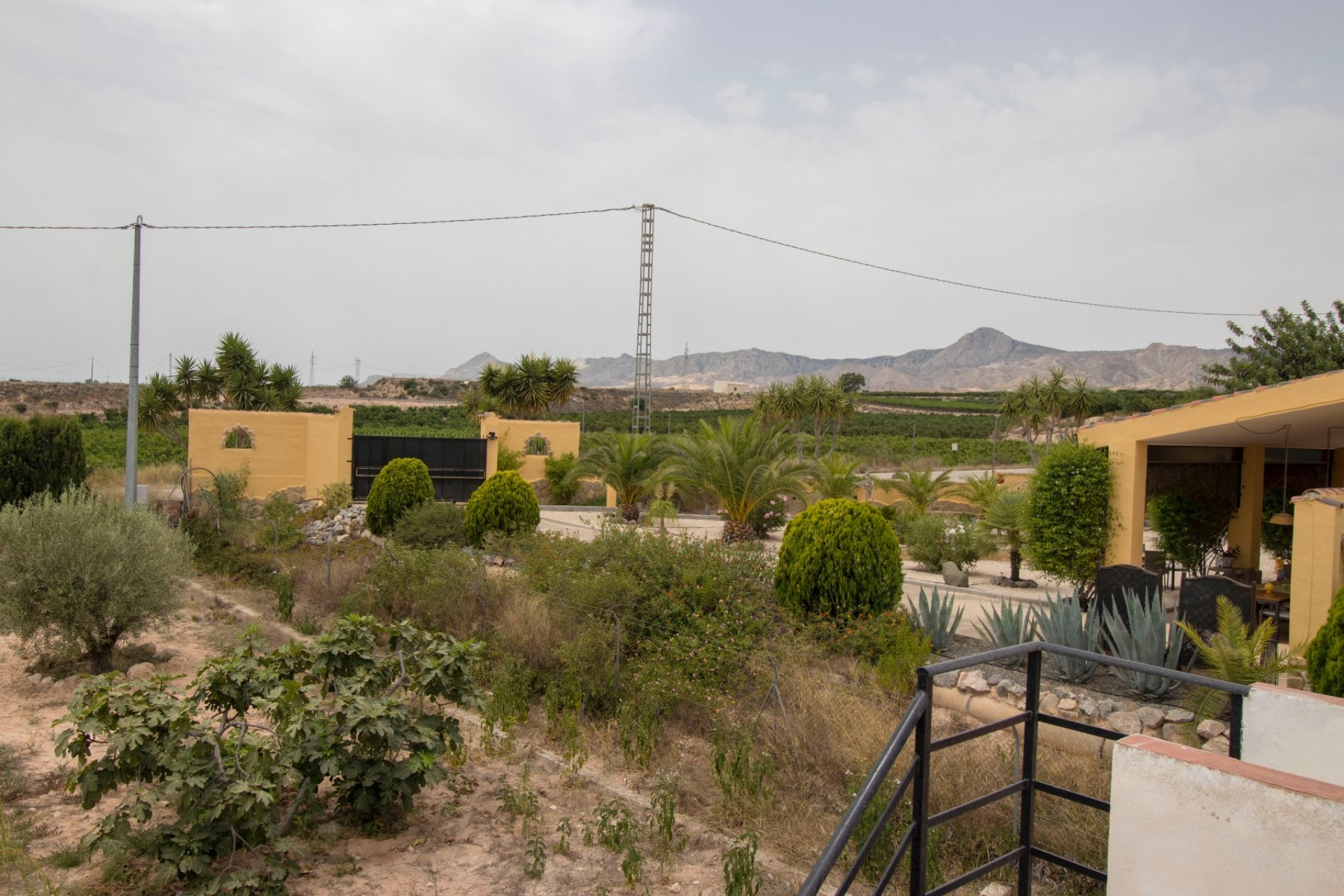 Langzeitmiete - Country house -
Albatera