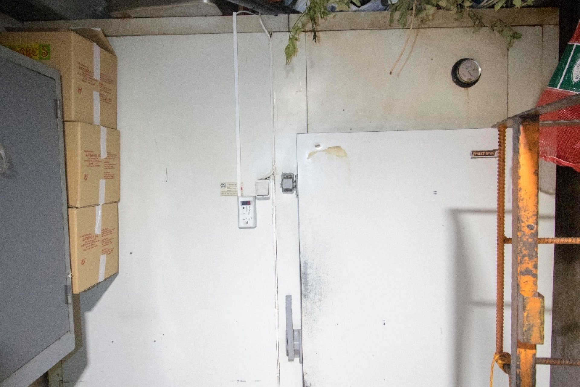 Location durée long terme - Commercial -
Albatera