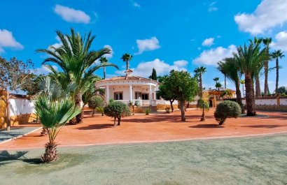 Maison de campagne -  - Catral - Catral - Country