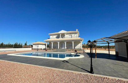 Maison de campagne - Nouvelle construction - Pinoso -
                    Pinoso