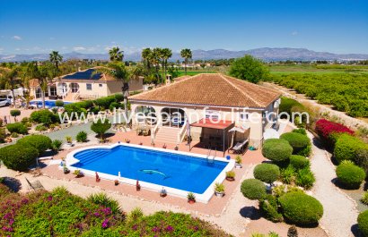 Maison de campagne - Revente - Alicante - Alicante