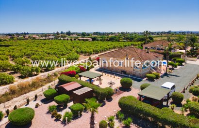 Maison de campagne - Revente - Alicante -
                    Alicante