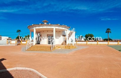 Maison de campagne - Revente - Catral - Catral