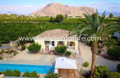 Maison de campagne - Revente - Orihuela -
                    La Campaneta