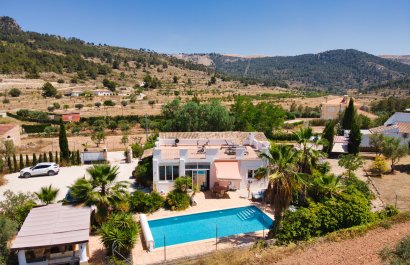 Maison de campagne - Revente - Pinoso - Pinoso