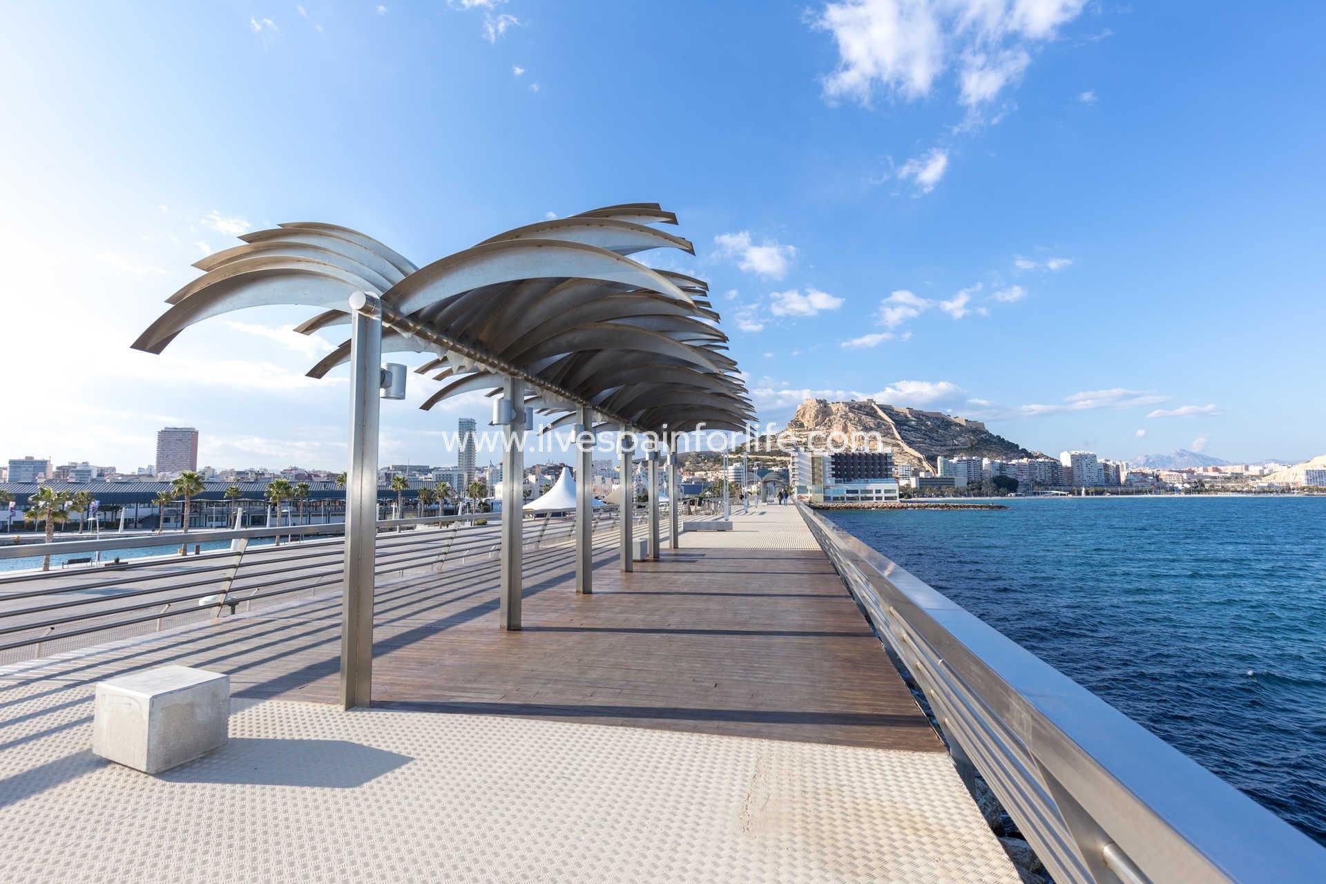 Neubau - Apartments -
Alicante - Centro