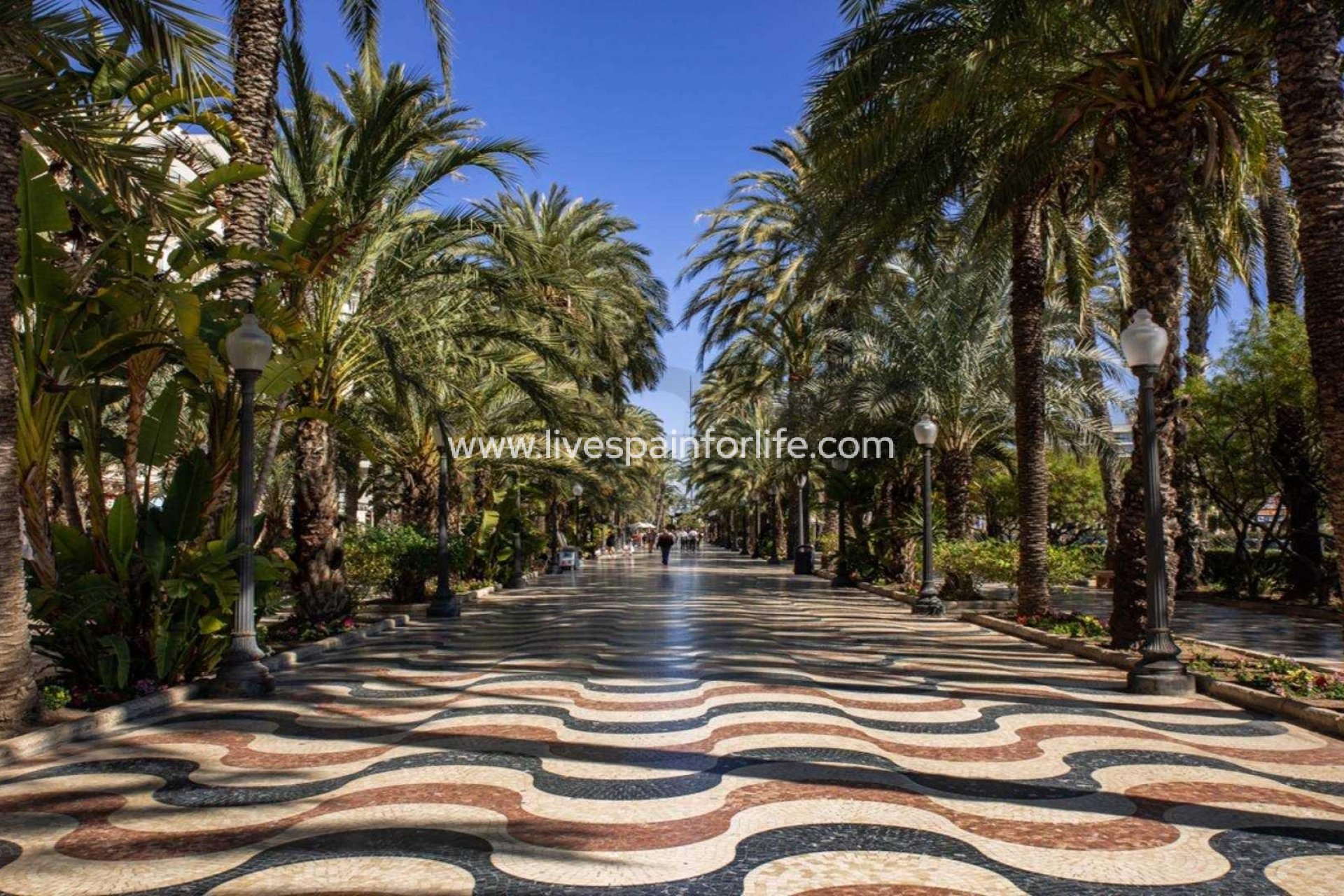 Neubau - Apartments -
Alicante - Centro