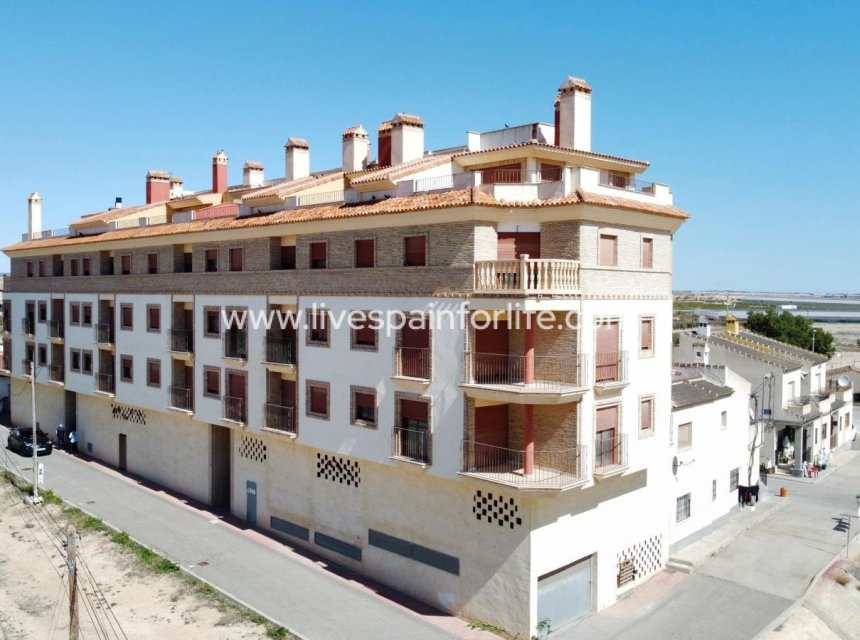 Neubau - Apartments -
Avileses - Pueblo