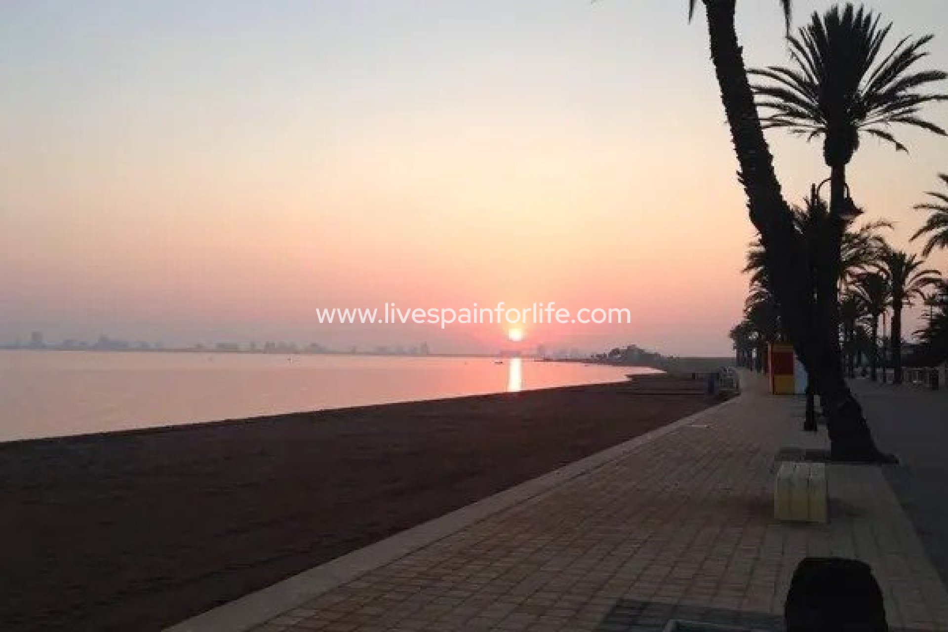 Neubau - Apartments -
Cartagena - Mar De Cristal