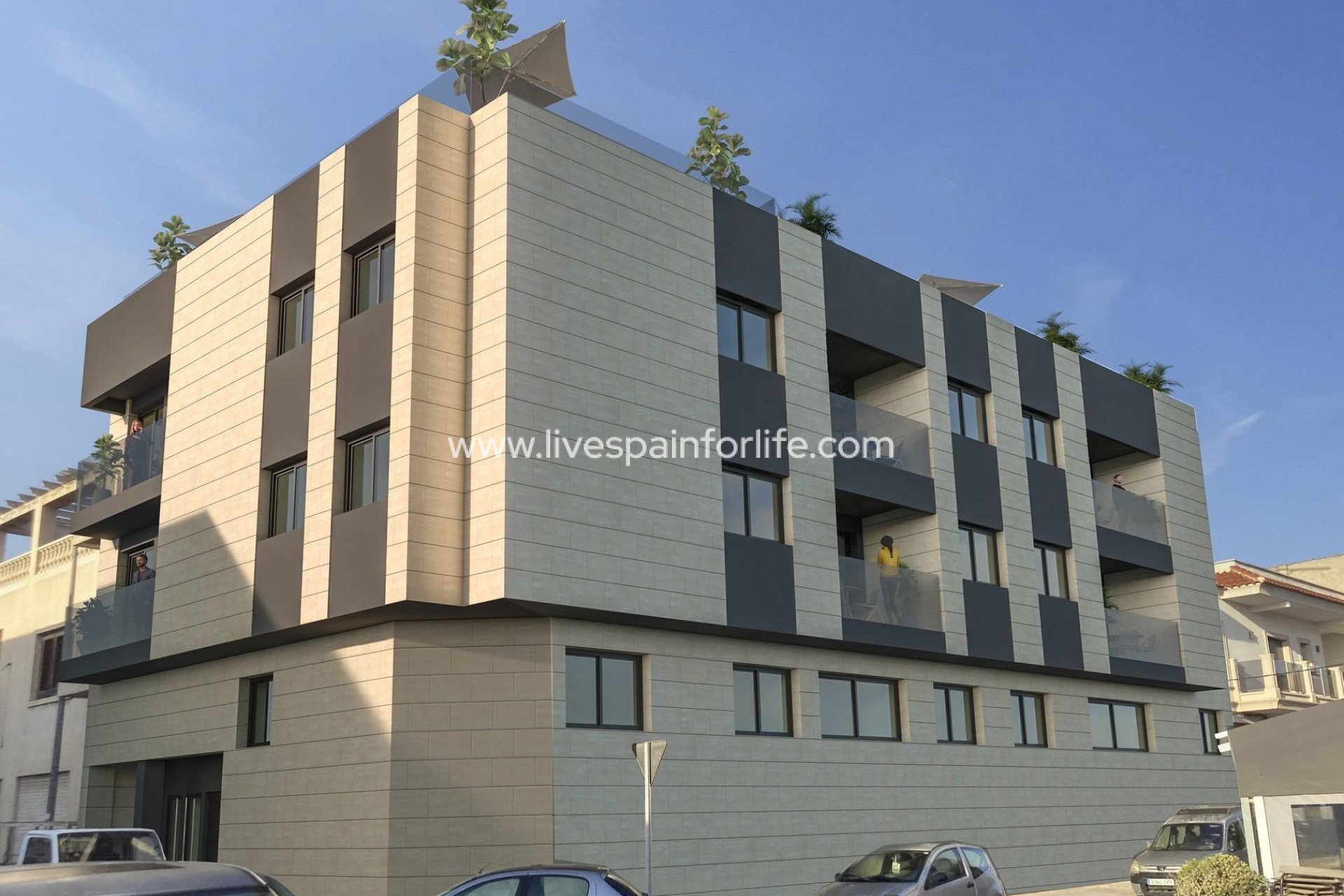 Neubau - Apartments -
Catral - Pueblo