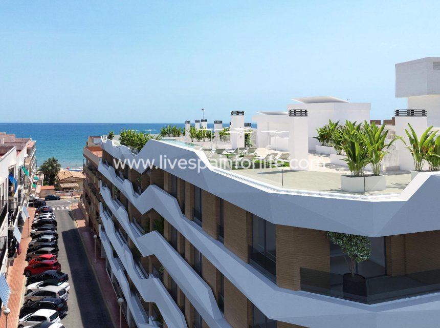 Neubau - Apartments -
Guardamar del Segura - Pueblo