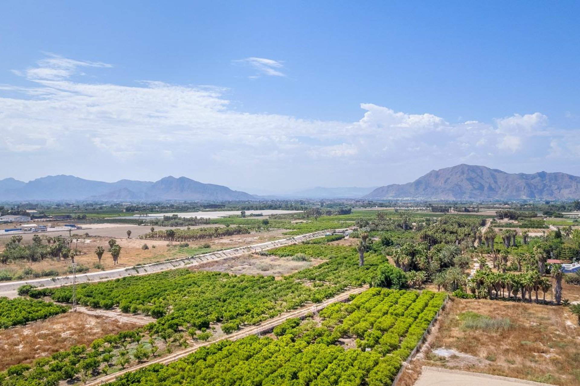 Neubau - Apartments -
Jacarilla - Pueblo