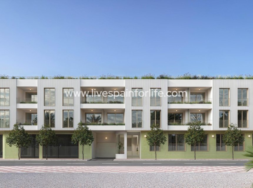 Neubau - Apartments -
Jacarilla - Pueblo