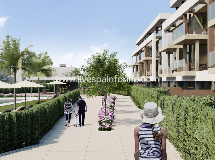 Neubau - Apartments -
Murcia