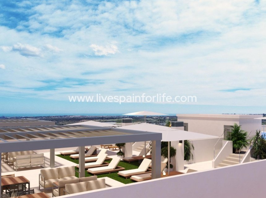 Neubau - Apartments -
San Miguel De Salinas - Pueblo