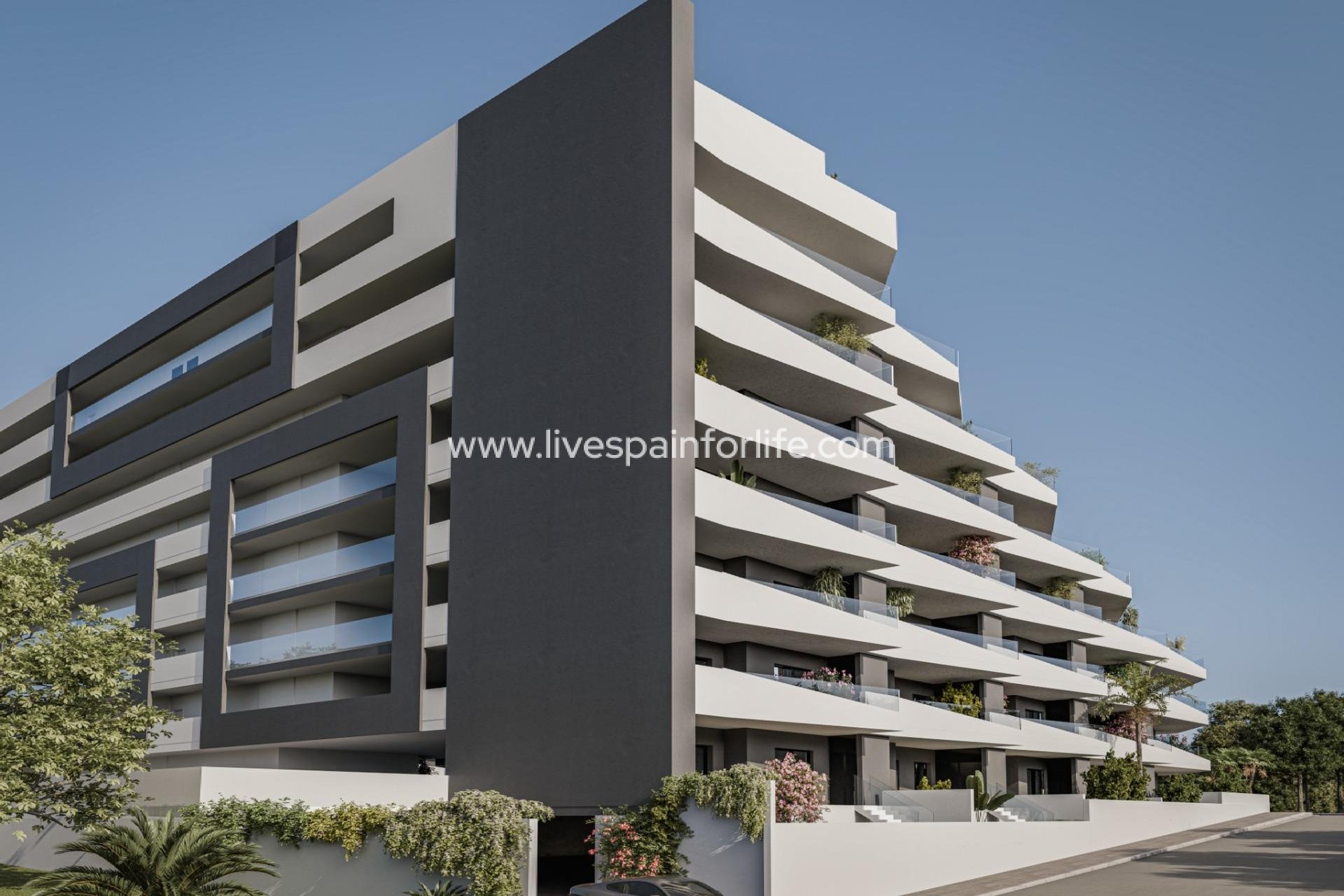 Neubau - Apartments -
San Miguel De Salinas - Pueblo