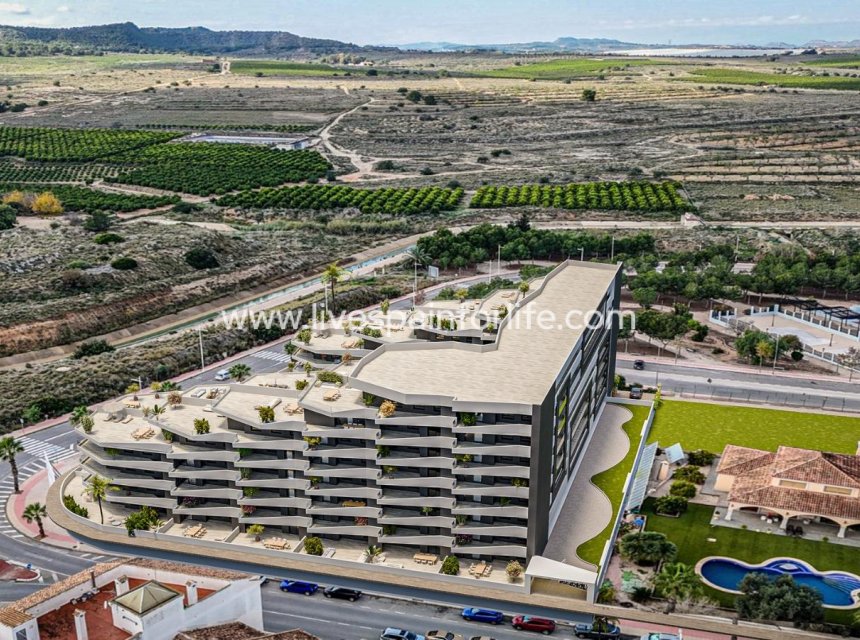 Neubau - Apartments -
San Miguel De Salinas - Pueblo