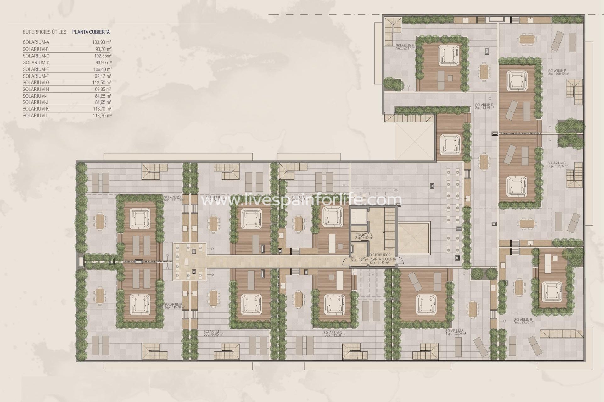 Neubau - Apartments -
Torre Pacheco - Centro