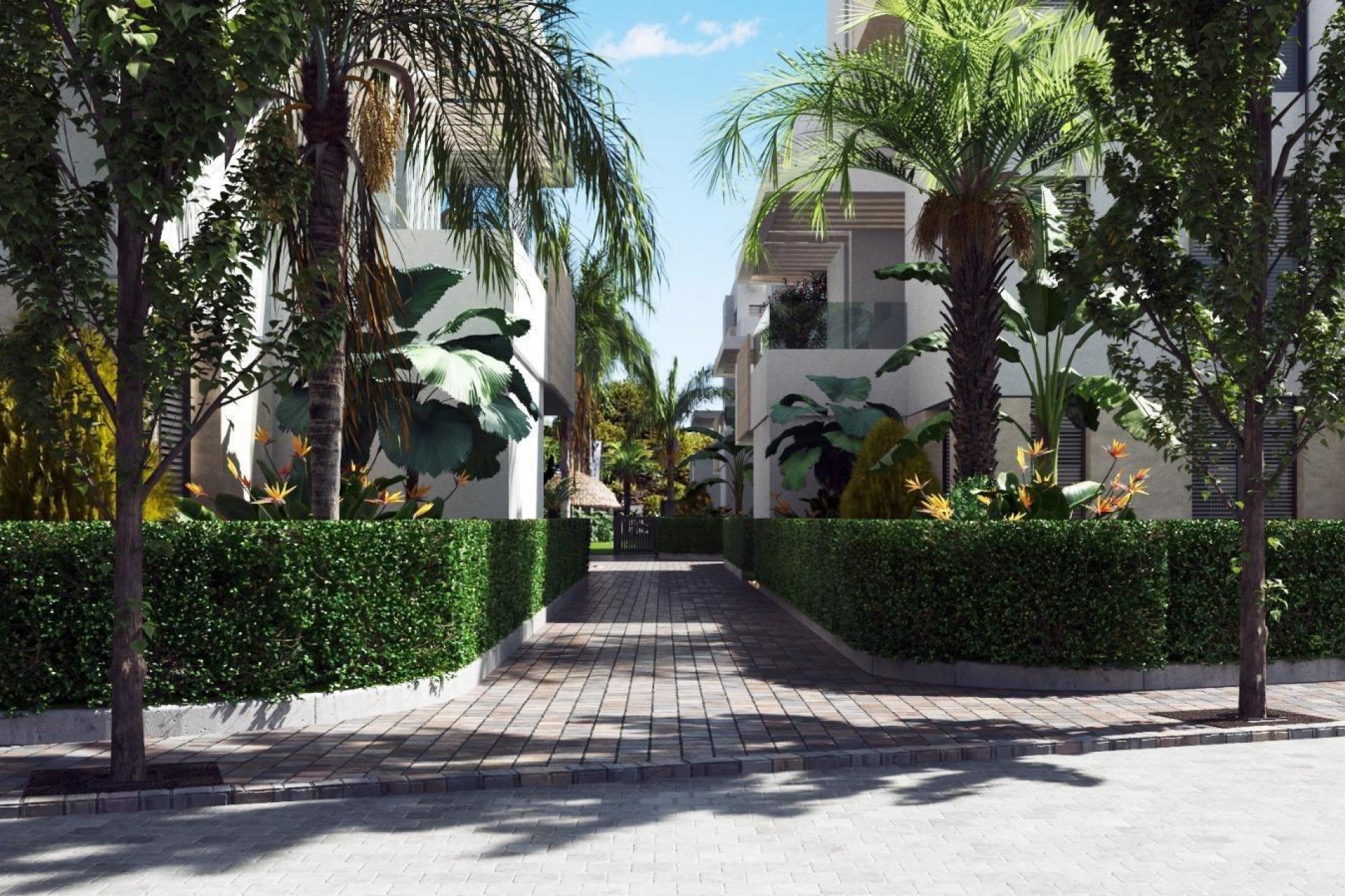 Neubau - Apartments -
Torre Pacheco - Santa Rosalía