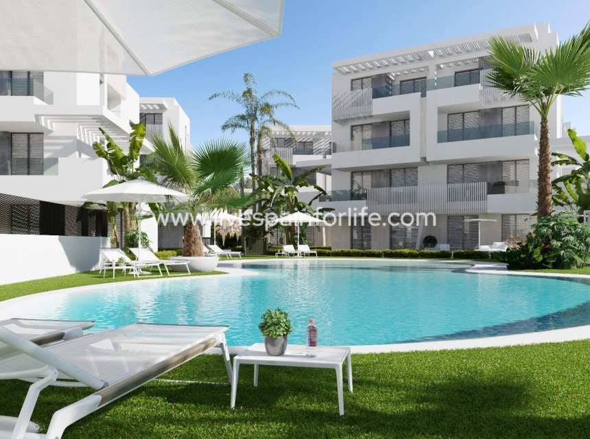 Neubau - Apartments -
Torre Pacheco - Santa Rosalía