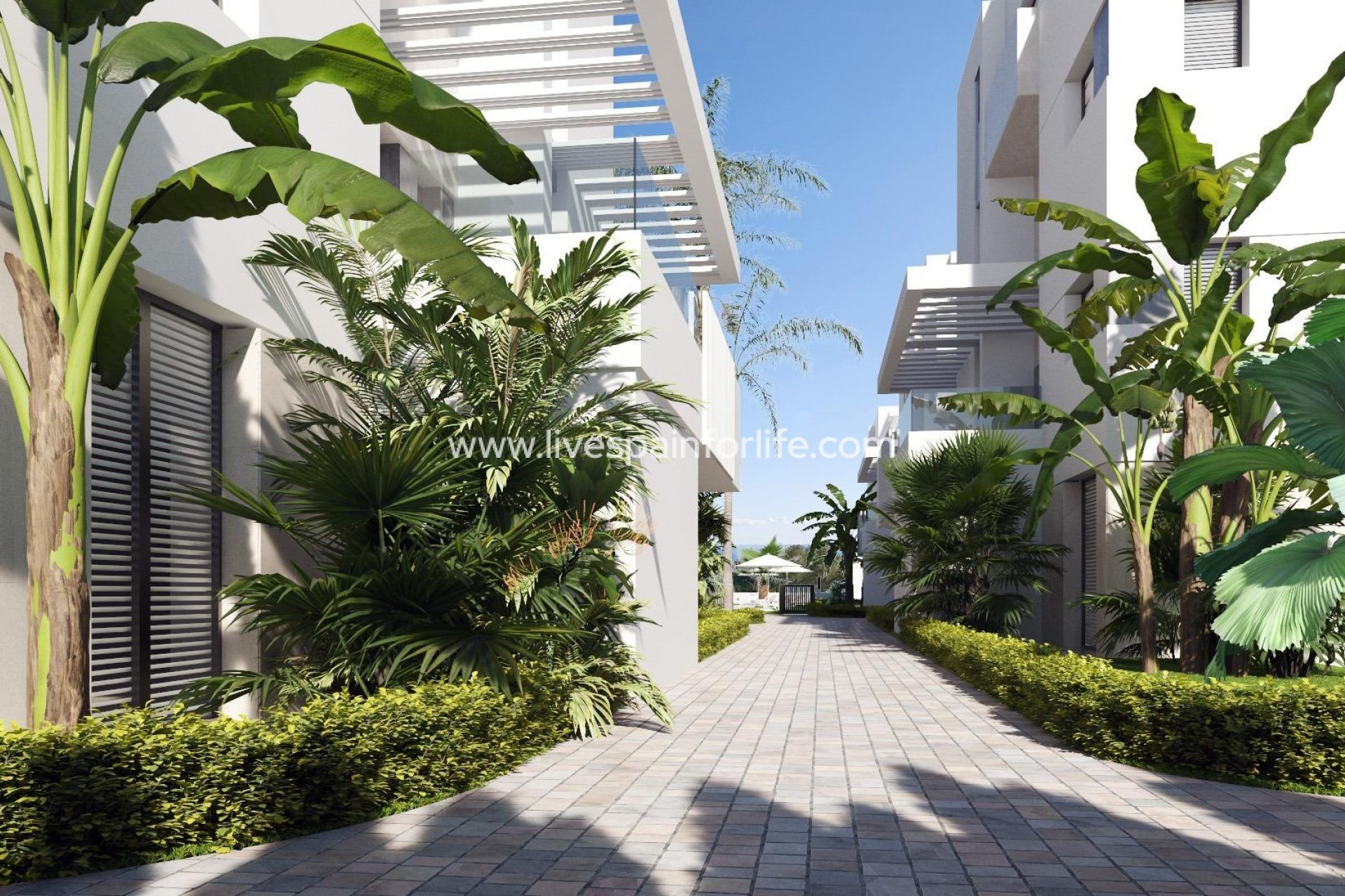 Neubau - Apartments -
Torre Pacheco - Santa Rosalía